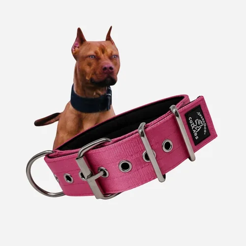 Miniatura 13 de SparkDog - Collar acolchado para perro, 2 pulgadas de ancho, nailon de 4 capas, correas para cinturón de seguridad, accesorios de acero inoxidable