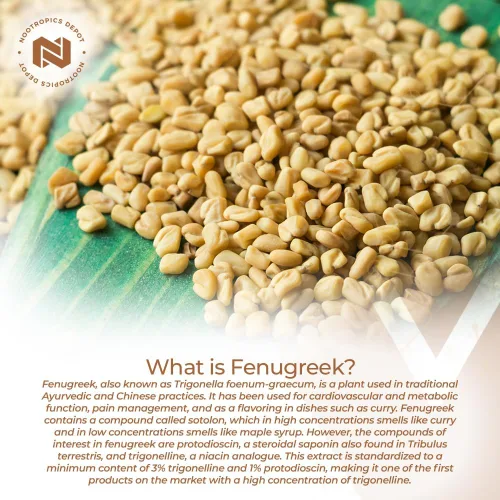 Miniatura 3 de Nootropics Depot Cápsulas de extracto de fenogreco 500 mg 60 ct 3% de trigonelina, 1% de protodioscina Trigonella foenum-graecum Estado
