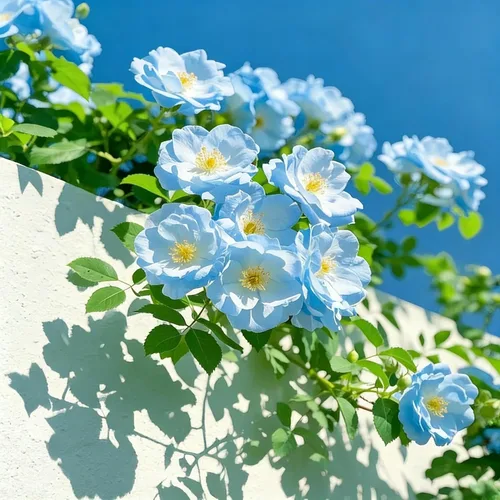 Miniatura 3 de Semillas de rosas trepadoras para plantar, más de 299 semillas mixtas de rosa exótica, plantas de flores de arbustos perennes, semillas ornamentales