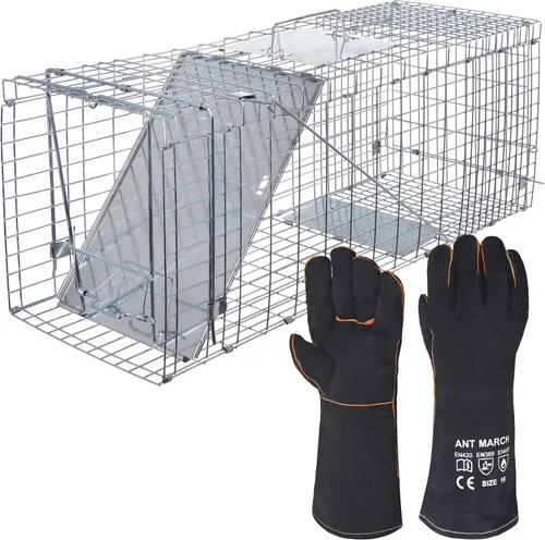 Miniatura 2 de ANT MARCH Trampa de jaula de animales vivos de 32 x 11.5 x 13 pulgadas, puerta de hierro de liberación humana para conejos, gatos callejeros