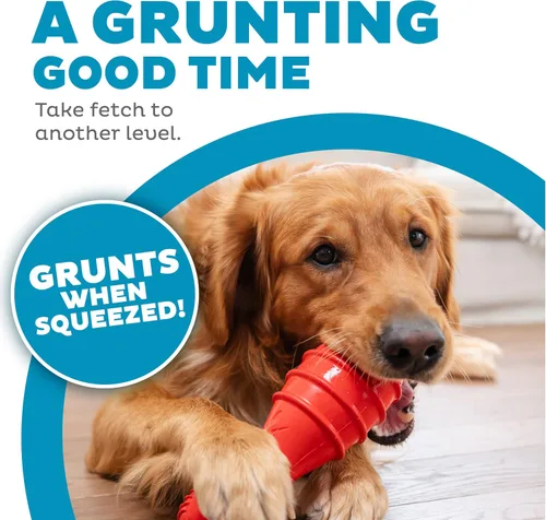 Miniatura 3 de Outward Hound Grunt Fetch Stick - Juguete para perro, conejito, rojo