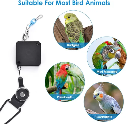 Miniatura 6 de Correa de pájaro de 6.6 pies, con 13 tamaños diferentes de anillo de pie retráctil antimordedura, cuerda de entrenamiento de vuelo de pájaros