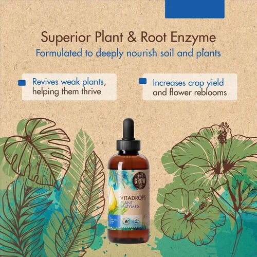 Miniatura 3 de Enzimas vegetales para plantas de interior y exterior – Alimento hidropónico para plantas para aumentar los nutrientes – Fertilizante potenciador