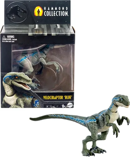 Mattel Jurassic World Hammond Collection - Figura de acción de dinosaurio, velociraptor 'azul' dinosaurio juguete con articulación