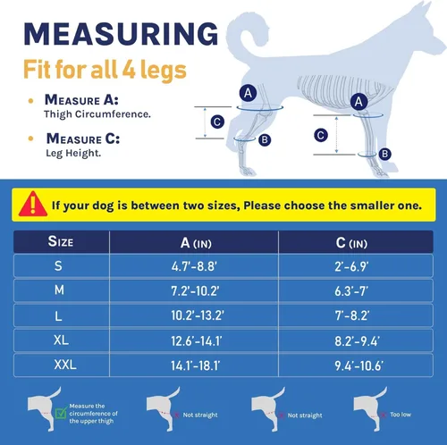 Miniatura 2 de Rodillera para perros – Soporte para patas traseras y patas traseras para perros con osteoartritis, lesiones del ligamento cruzado o recuperación