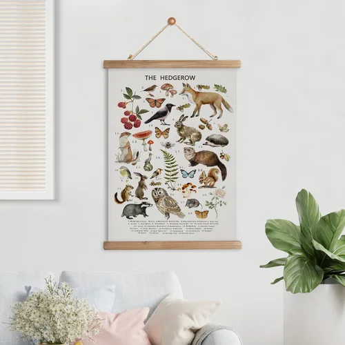 Miniatura 7 de XIAOAIKA Póster Educativo de Vida Silvestre de Seto Británico - Cuadro Ilustrado de la Naturaleza con Marco de Madera - Arte de Pared de Animales
