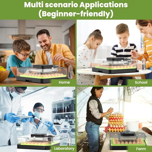 Miniatura 9 de Incubadora de 48 huevos para incubar huevos con giro automático de huevos, control de temperatura y humedad, incubadora de huevos con ventana