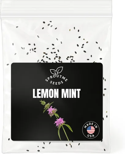 Miniatura 8 de Semillas de romero – Más de 100 personas sin OMG herencia cultivadas en Estados Unidos – Hierba culinaria aromática y hoja perenne fragante, apta