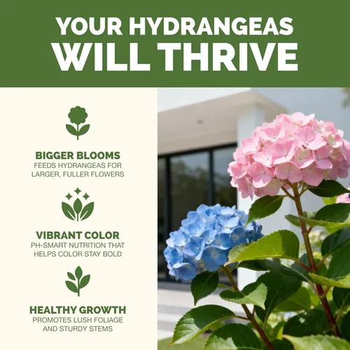 Miniatura 2 de Fertilizante de hortensias: alimento líquido para plantas para flores más grandes, color rico de flores y desarrollo de raíces más fuerte, 8 onzas