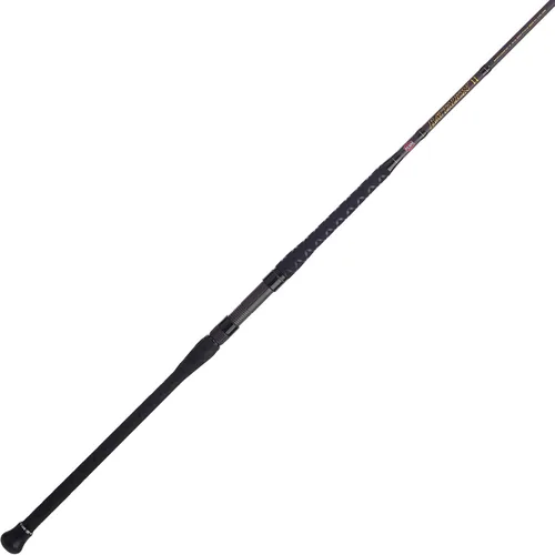 Miniatura 13 de Penn Escuadrón IV Surf Spinning Rod