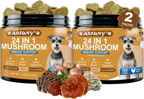 Miniatura 10 de Hongos para perros – Seta de cola de pavo para perros – intestino, piel, articulaciones, salud inmunológica – Bultos y protuberancias de perro – 13