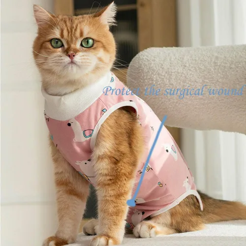 Miniatura 4 de Traje de recuperación para gatos, enterizo para gatos después de la cirugía, esterilización quirúrgica, heridas abdominales, enfermedades