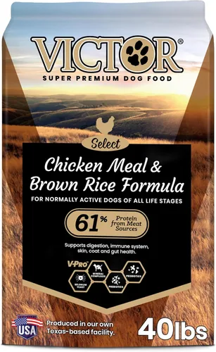 Miniatura 11 de VICTOR Super Premium Comida para Perros – Harina de pollo y arroz integral para todos los perros normalmente activos de todas las etapas de la vida