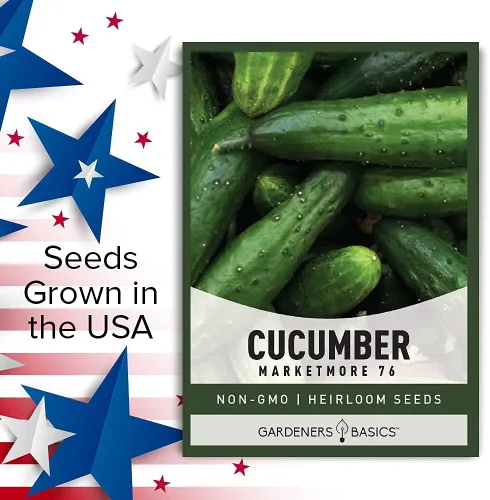 Miniatura 6 de Gardeners Basics, Marketmore 76 - Semillas de pepino para plantar - Cucumis sativus Heirloom, variedad de vegetales sin OMG, semillas de 0.04 oz