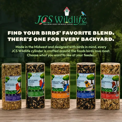 Miniatura 9 de JCs Wildlife Cilindro de semillas de pájaros con agujero, sin ensuciar, sin relleno, alimento para pájaros silvestres para comederos exteriores