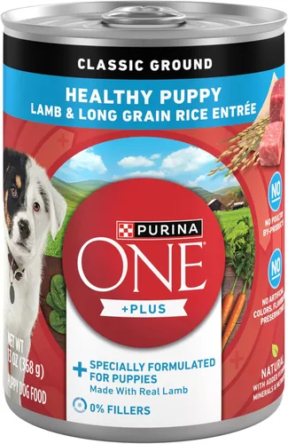 Purina ONE Plus Alimento húmedo para cachorros, clásico cordero molido saludable y arroz de grano largo, plato principal - (Paquete de 12) latas de