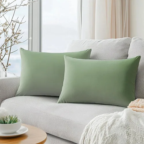 Miniatura 17 de QUORGVES Juego de 2 fundas de almohada de terciopelo verde de 20 x 20 pulgadas, fundas de almohada cuadradas decorativas suaves y sólidas, fundas