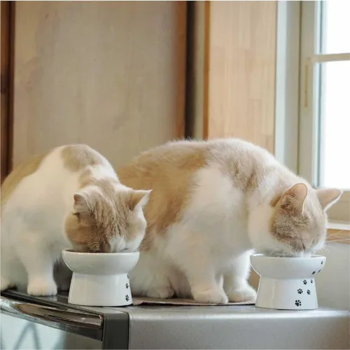 Miniatura 8 de Necoichi Cuenco elevado para comida y agua para gatos, cuencos elevados de cerámica para fatiga de bigotes y cuello, apto para lavavajillas