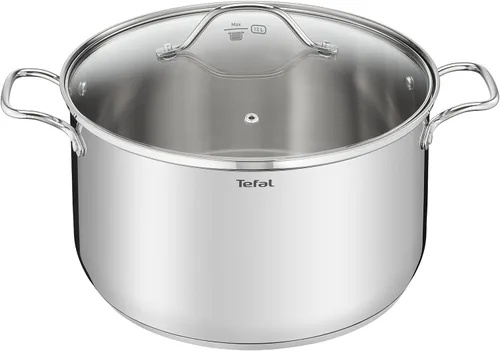 Tefal Intuition XL - Olla de acero inoxidable 18/10, 14.2 in, 17,5 L, acero inoxidable 18/10, asas remachadas resistentes, tapa de cristal, metálico
