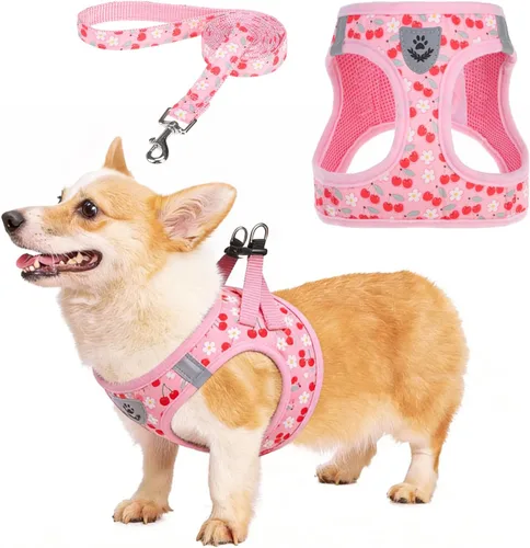 Miniatura 30 de Arnés de malla suave para cachorros – Juego de arnés y correa para perros pequeños, ajustable y cómodo chaleco reflectante acolchado para cachorros