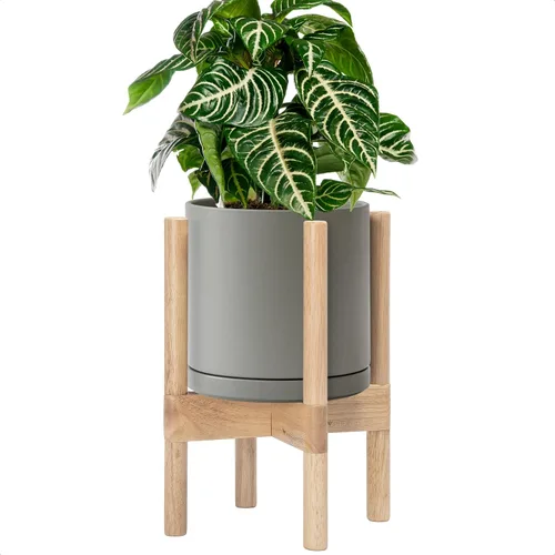 Miniatura 50 de D'vine Dev Maceta de cerámica con soporte de ébano – Maceta redonda moderna de 8 pulgadas con soporte para maceta de madera, color negro, 55-B-M-2