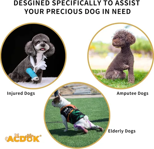 Miniatura 2 de Arnés de elevación para perros, soporte de cuerpo completo y recuperación para mascotas, correas ajustables con asa para viejos, lesiones