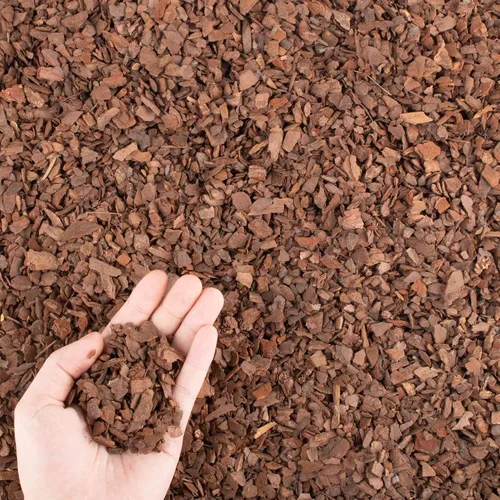 Miniatura 21 de Corteza orgánica para macetas de orquídeas de 3 cuartos - Mantillo natural para plantas en maceta, desarrollo de raíces de plantas de orquídeas