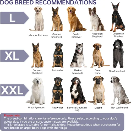 Miniatura 9 de Rodillera para perro de 4 patas, rodillera ajustable para perro con material reflectante, proporciona un fuerte apoyo para perros pequeños, medianos
