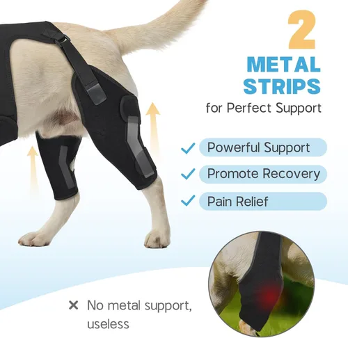 Miniatura 2 de Rodilleras para perro para pierna trasera, soporte ajustable para piernas con 2 estabilizadores, soporte de cadera para reducir el dolor, lesiones