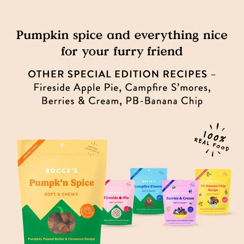 Miniatura 5 de Bocce’s Bakery - Golosinas de calabaza y especias para perros, golosinas diarias sin trigo, hechas con ingredientes reales, horneadas en Estados