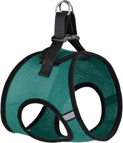 Miniatura 13 de Dogline York Step-in Air - Arnés de malla para perro, sin estrangulamiento, chaleco suave acolchado en el pecho para cachorros, perros pequeños