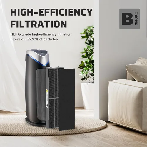 Miniatura 3 de Filtro B de repuesto HEPA transparente de humo compatible con AC4825 AC4300 AC4800 AC4900 AC4850, 2 filtros HEPA verdaderos y 6 prefiltros de carbón