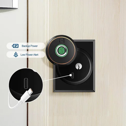 Miniatura 8 de GeekTale Cerradura de seguridad de huellas dactilares con aplicación, cerradura inteligente de seguridad para puerta delantera