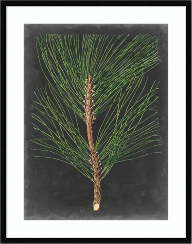 Miniatura 10 de Amanti Art Impresión artística enmarcada para pared, 44 x 36 pulgadas, dramático pino I de Vision Studio, arte de pared de naturaleza, decoración