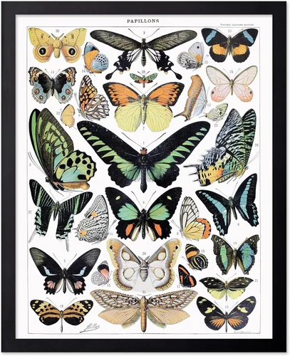 Miniatura 92 de Poster Master Póster vintage de miel, impresión retro de La Vie De L'Abeille, arte de panal de abeja, arte de pared de abeja, regalo para hombres