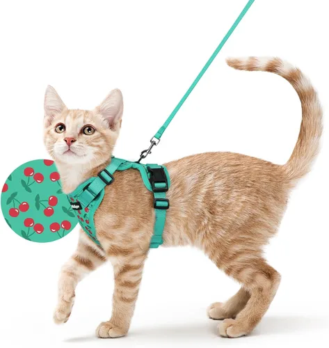 Miniatura 16 de rabbitgoo Cat Harness and Leash Set, Escape Proof Vest, XXS, Berry Pounce Soft Breathable Mesh, No-choke Adjustable Fit, Snap Buckles, Sturdy