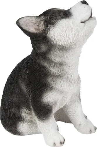Miniatura 2 de Husky Siberiano Cachorro Aullando