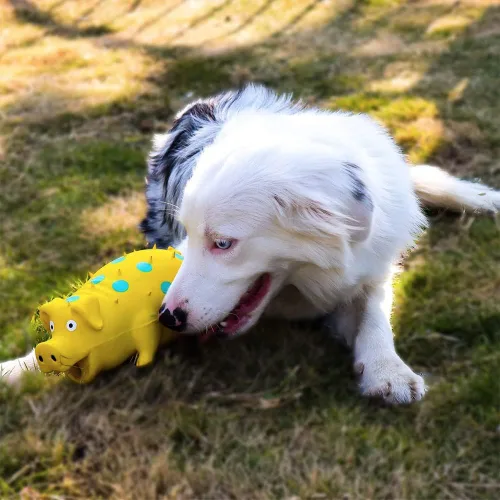 Miniatura 5 de Juguetes para perros Squeaky Pig - Paquete de 2 juguetes para perros que gruñen gruñidos para perros pequeños, medianos y grandes, juguete para Rojo