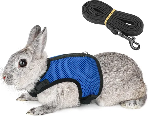 Miniatura 9 de PETTOM Arnés para Conejo Conejillo de Indias con Correa Elástica Extensible, Lindo Arnés de Malla Suave para Mascotas Pequeñas, Sin Tirones, Cómodo