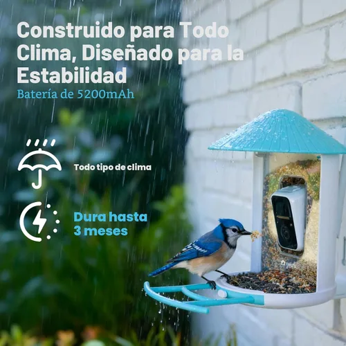Miniatura 6 de NETVUE by Birdfy - Comedero inteligente para pájaros con cámara AI 2K, captura automática de videos y detección de movimiento, transmisión en vivo