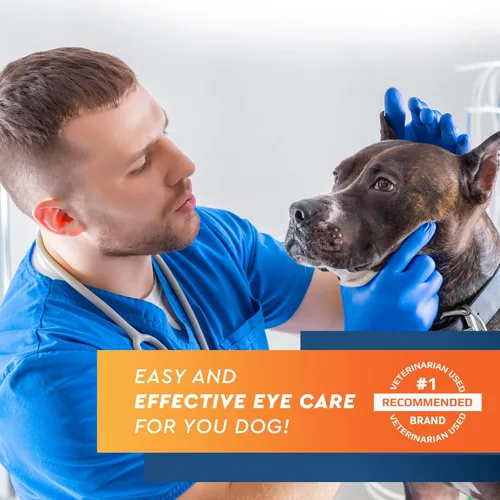 Miniatura 4 de All Pets - Gotas de lavado de ojos para aliviar el ojo rosado, síntomas de alergias, infecciones y ojos secos y húmedos, tratamiento sin dolor que