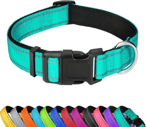 Collar reflectante para perro, ajustable de neopreno suave acolchado de nailon para mascotas con hebilla para perros extra grandes, verde azulado,