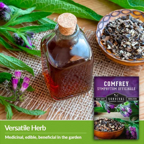 Miniatura 4 de Semillas de consuelda para plantar, Symphytum Officinale Hierba medicinal perenne para té de abono y cuidado de la piel natural, raíz resbaladiza