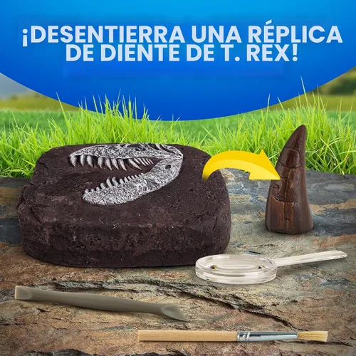 Miniatura 5 de Juego de excavación de fósiles de dinosaurios NATIONAL GEOGRAPHIC y libro de dinosaurios para niños - Excava un fósil de diente de dinosaurio