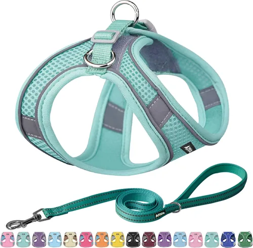 Miniatura 21 de AIITLE - Juego de arnés y correa para perro sin tirones, arnés ajustable para perros con chaleco acolchado para todo clima, correa para perros
