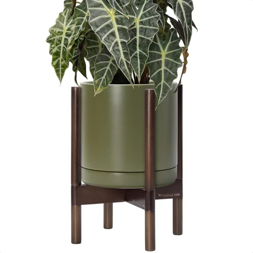 Miniatura 15 de D'vine Dev Maceta de cerámica con soporte de ébano – Maceta redonda moderna de 8 pulgadas con soporte para maceta de madera, color negro, 55-B-M-2