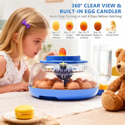 Miniatura 8 de Incubadoras para incubar huevos - Capacidad para 18 huevos, incubadora de huevos con giro automático de huevos y control de temperatura, incubadora