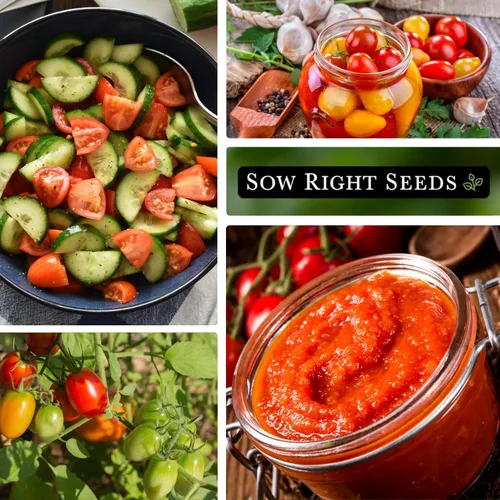 Miniatura 4 de Sow Right Seeds - Semillas de tomate Rio Grande para plantar - Paquete de reliquia sin OMG con instrucciones para plantar un huerto casero