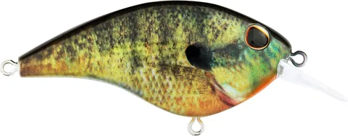 Miniatura 62 de Berkley Frittside Fishing Hard Bait Bronceado en aerosol