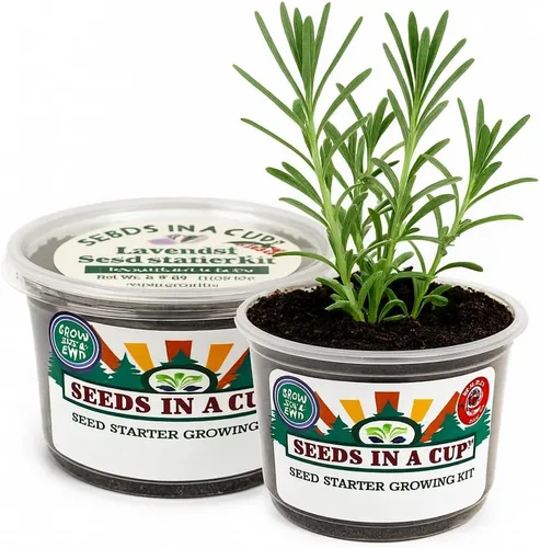 Miniatura 5 de Kit de cultivo de hierbas Iniciador de jardín de hierbas para interiores Semillas y tierra de primera calidad Paquete de 3 hierbas Múltiples